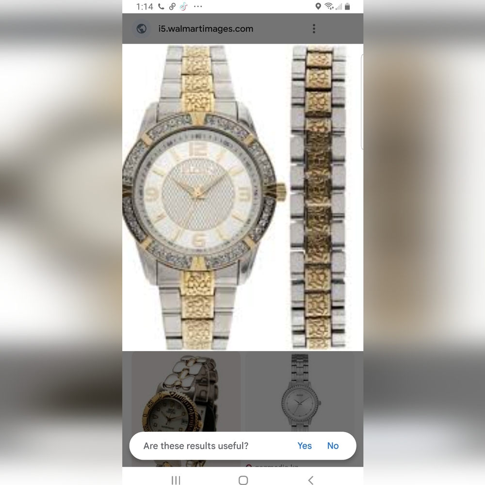 Elgin watch and bracelet